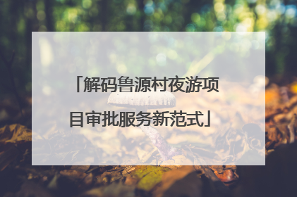解码鲁源村夜游项目审批服务新范式