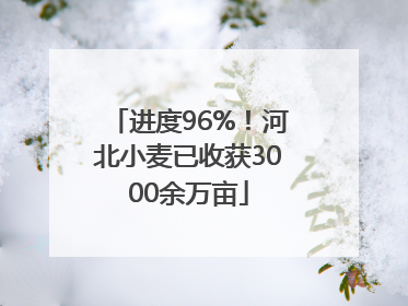 进度96%！河北小麦已收获3000余万亩