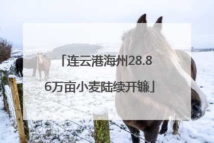 连云港海州28.86万亩小麦陆续开镰
