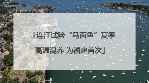 连江试验“马面鱼”夏季高温混养 为福建首次