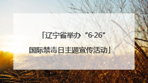 辽宁省举办“6·26”国际禁毒日主题宣传活动