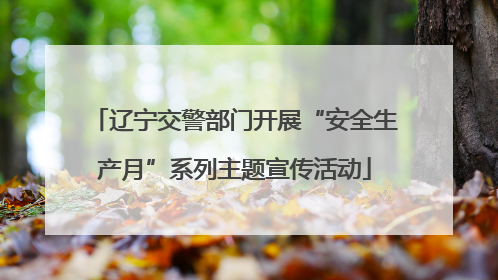 辽宁交警部门开展“安全生产月”系列主题宣传活动
