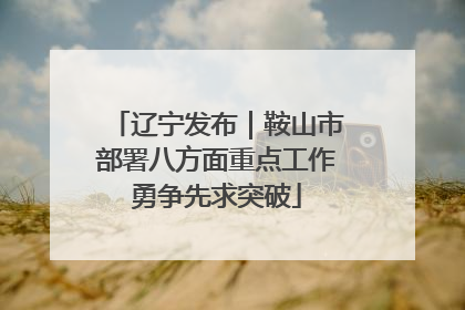 辽宁发布｜鞍山市部署八方面重点工作勇争先求突破