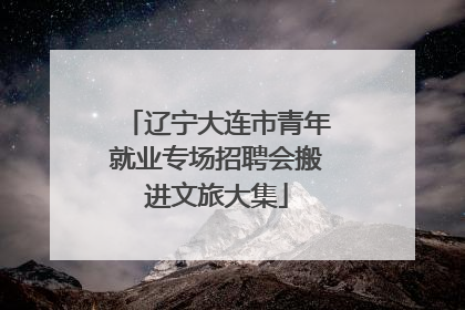 辽宁大连市青年就业专场招聘会搬进文旅大集