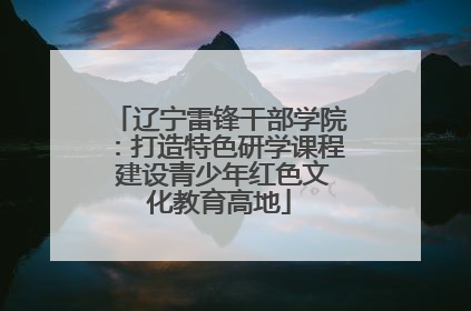 辽宁雷锋干部学院：打造特色研学课程 建设青少年红色文化教育高地