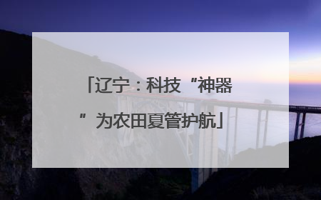 辽宁：科技“神器”为农田夏管护航