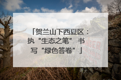 贺兰山下西夏区：执“生态之笔” 书写“绿色答卷”