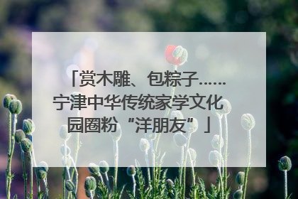赏木雕、包粽子……宁津中华传统家学文化园圈粉“洋朋友”
