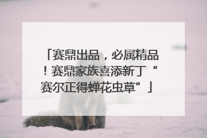 赛鼎出品，必属精品！赛鼎家族喜添新丁“赛尔正得蝉花虫草”