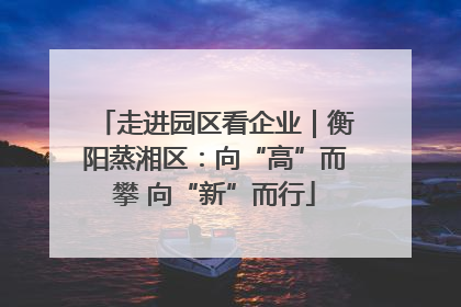 走进园区看企业｜衡阳蒸湘区：向“高”而攀 向“新”而行