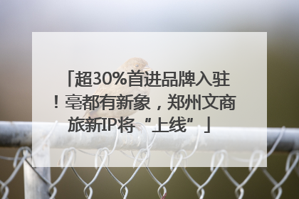 超30%首进品牌入驻！亳都有新象，郑州文商旅新IP将“上线”