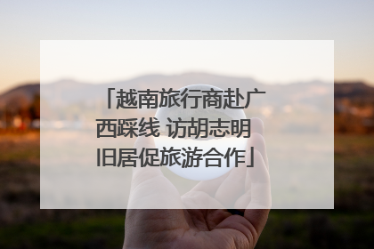 越南旅行商赴广西踩线 访胡志明旧居促旅游合作
