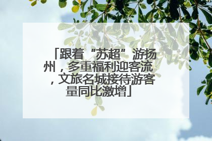 跟着“苏超”游扬州，多重福利迎客流，文旅名城接待游客量同比激增