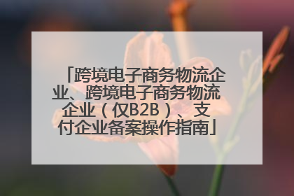 跨境电子商务物流企业、跨境电子商务物流企业（仅B2B）、支付企业备案操作指南