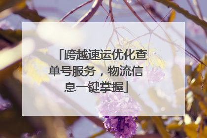 跨越速运优化查单号服务，物流信息一键掌握