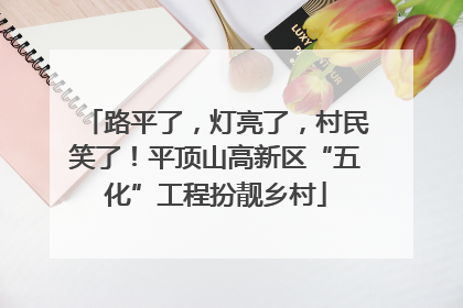 路平了，灯亮了，村民笑了！平顶山高新区“五化”工程扮靓乡村