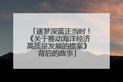 逐梦深蓝正当时！《关于推动海洋经济高质量发展的提案》背后的故事