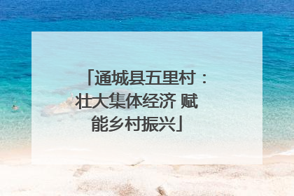 通城县五里村：壮大集体经济 赋能乡村振兴
