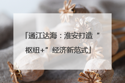 通江达海：淮安打造“枢纽+”经济新范式