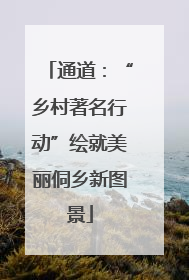 通道：“乡村著名行动”绘就美丽侗乡新图景