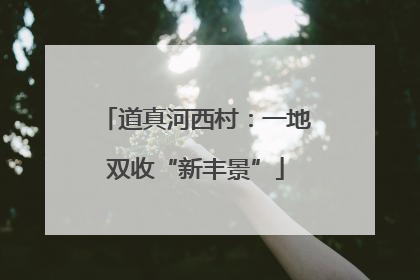 道真河西村：一地双收“新丰景”