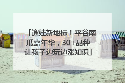 遛娃新地标！平谷南瓜嘉年华，30+品种让孩子边玩边涨知识