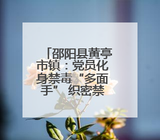 邵阳县黄亭市镇：党员化身禁毒“多面手” 织密禁毒防护网