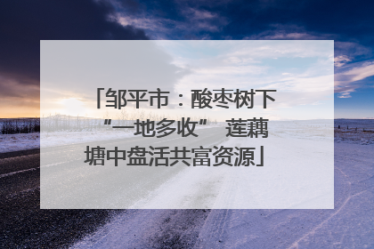 邹平市：酸枣树下“一地多收” 莲藕塘中盘活共富资源
