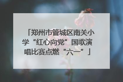 郑州市管城区南关小学“红心向党”国歌演唱比赛点燃“六一”