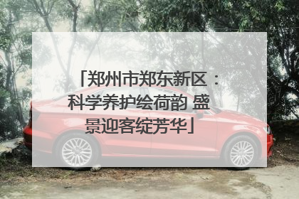 郑州市郑东新区：科学养护绘荷韵 盛景迎客绽芳华