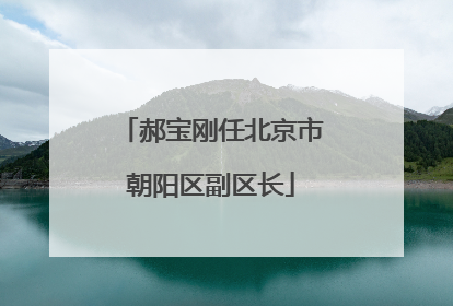 郝宝刚任北京市朝阳区副区长