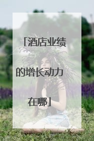 酒店业绩的增长动力在哪