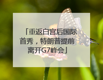 重返白宫后国际首秀，特朗普提前离开G7峰会