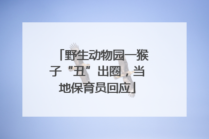 野生动物园一猴子“丑”出圈，当地保育员回应