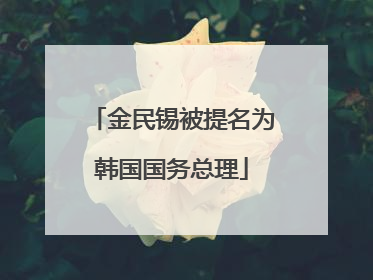 金民锡被提名为韩国国务总理