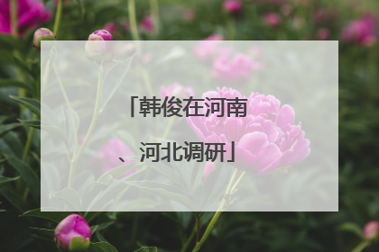 韩俊在河南、河北调研