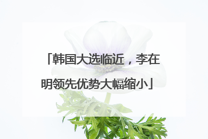 韩国大选临近，李在明领先优势大幅缩小