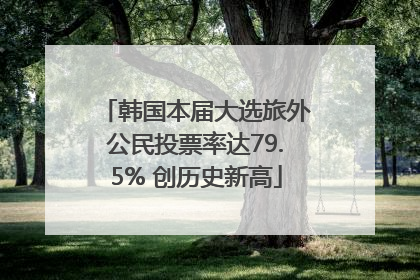 韩国本届大选旅外公民投票率达79.5% 创历史新高