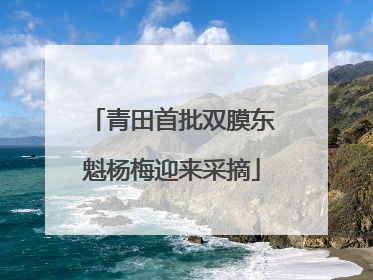 青田首批双膜东魁杨梅迎来采摘