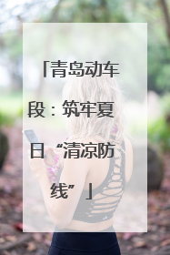 青岛动车段：筑牢夏日“清凉防线”