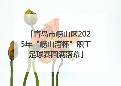 青岛市崂山区2025年“崂山湾杯”职工足球赛圆满落幕