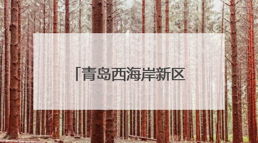 青岛西海岸新区灵山卫街道：端午粽香情暖骑手，致敬城市“蜂鸟”