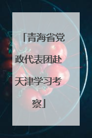青海省党政代表团赴天津学习考察