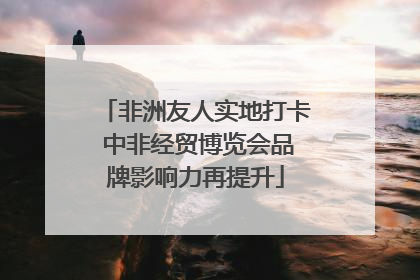非洲友人实地打卡 中非经贸博览会品牌影响力再提升
