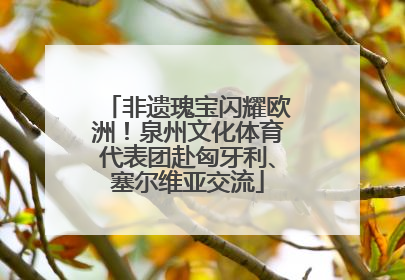 非遗瑰宝闪耀欧洲！泉州文化体育代表团赴匈牙利、塞尔维亚交流