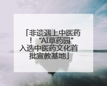 非遗遇上中医药！“AI草药园”入选中医药文化首批宣教基地