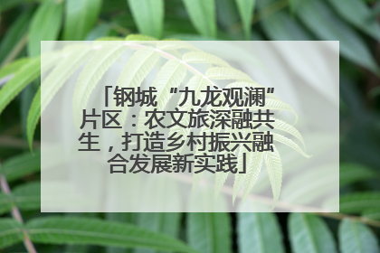 钢城“九龙观澜”片区：农文旅深融共生，打造乡村振兴融合发展新实践