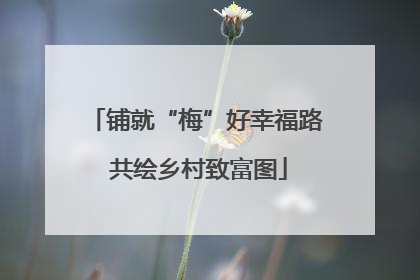 铺就“梅”好幸福路 共绘乡村致富图