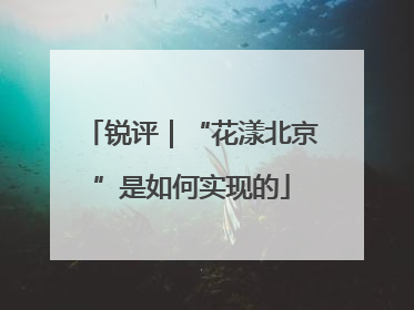 锐评｜“花漾北京”是如何实现的
