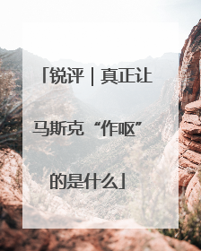 锐评｜真正让马斯克“作呕”的是什么